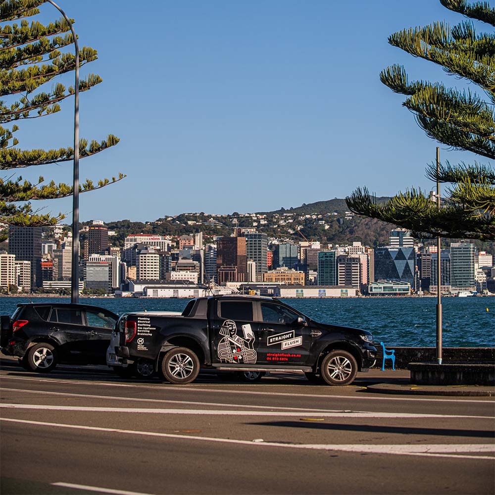 Straight Flush ute on oriential parade Wellington